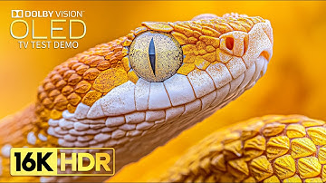 Cool and Stunning 16K Video ULTRA HD 120fps | 16K HDR Dolby Vision (8K/4K TV)