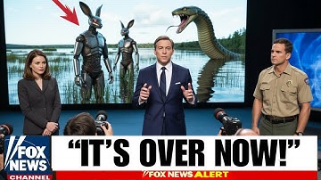 Florida Released HUNDREDS of Robotic Rabbits To Kill Pythons What Happened Next Shocked Everyone