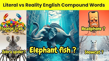 Best Literal vs Reality English Compound Words #english  #learnenglish  #vocabulary #shorts