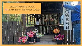 Late Summer Harvest & Roadside Stand | Heading to Fall🌻