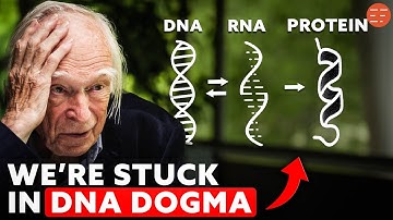 Denis Noble: "Neo-Darwinism Is Dead" | We Need A Biology Beyond Genes