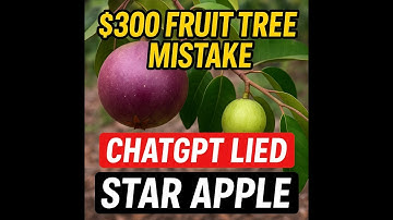 $300 Fruit Tree Mistake: ChatGPT Lied About This Star Apple Variety