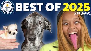 BEST OF THE YEAR (so far!) - Guinness World Records