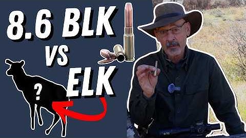 Whisper Gun Vs Elk… Can It Really Do This?