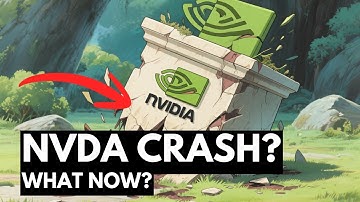 Nvidia is Crashing. Google is Soaring. How to Trade the AI Race