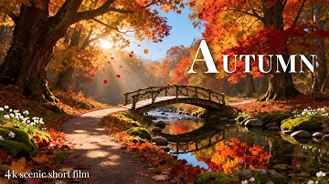 The Most Beautiful Fall Foliage Around The World