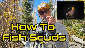 Scuds = Trout Candy! How to Fish Them in Lakes Effectively