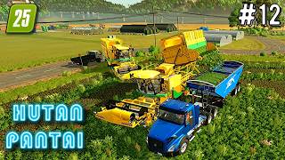 farming Simulator 25 Hutan Pantai Map Timelapse Ep #12 Mega Farm fs25 gameplay