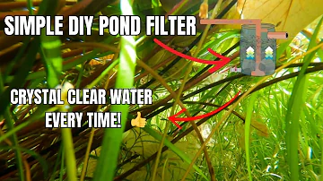 How to achieve CRYSTAL CLEAR POND WATER with a DIY BOG FILTER