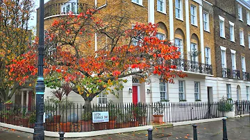 Rainy London Autumn Halloween Walk 🍁🎃 Belgravia, Chelsea & Knightsbridge | 4K HDR