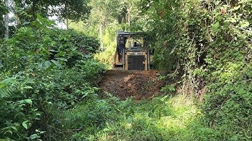 The Old Plantation Road Lost Is Now Revived by the D6R XL Bulldozer