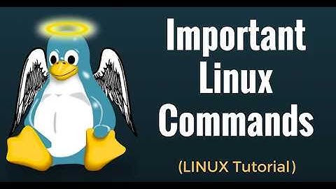 💡 Learn Linux File Management | Create, Copy, Move & Delete Files & Directories ⚡