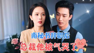 [SP] After Secretary Nan Quit, the CEO Was Driven to Tears | Yao Guanyu New Drama