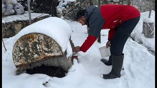 Heavy Snowfall in the Village / My 78-Year-Old Mother's Enjoyment of Skiing