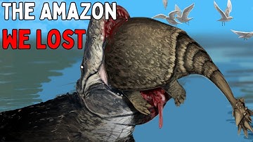 When The Amazon Was A Mega Lake