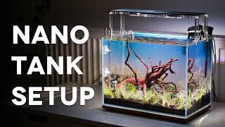 How to build an amazing nano aquascape | New aquarium tank setup