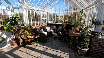 Cleaning & Plant Care/Potting in the Hartley! 🪴🪣🧽 // Garden Answer