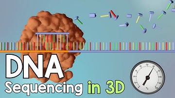 DNA Sequencing - 3D