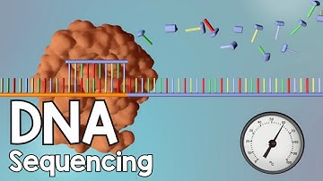 DNA Sequencing - 3D