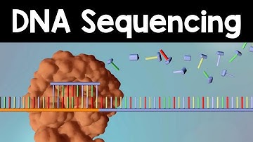 DNA Sequencing - 3D