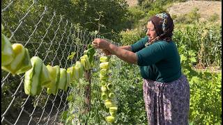 Dağ Köyünde Bostan Hasadı / 481. Bölüm