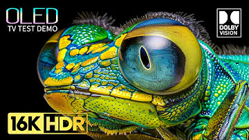BEST Dolby Vision HDR 16K 120 fps (8K / 4K Video TV TEST)
