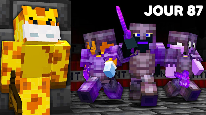 100 Jours sur le Serveur le plus MORTEL de Minecraft..