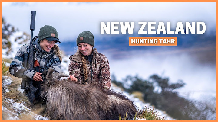 Two Huntresses, One Mountain, and a Tahr to Remember