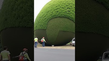 Unbelievably Satisfying Gardening Moments You Need to See! 🌳