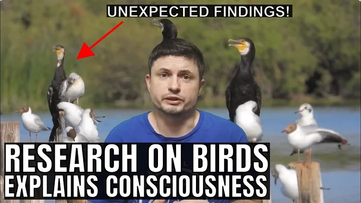 Why Did Consciousness Evolve? Exciting Research on Bird Brains
