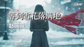 赵薇薇 - 等到雪花落满地「可我却等不到你」【🎧AI高质音乐/拼音歌词 Eng Lyrics】