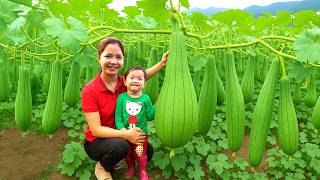 Harvesting 1000   Kg Wild Luffa, Cabbage To Sell At Market | Tieu Ca -Free Bushcraft