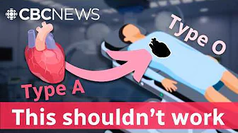 This breakthrough makes everyone a universal donor