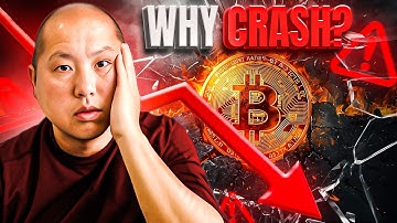Why Did Bitcoin & Crypto Crash???
