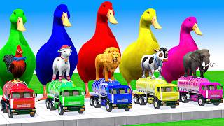 5 Giant Duck Cartoon, Cow, Mammoth, Elephant, Lion, Paint Wild Animals Crossing Fountain Animation