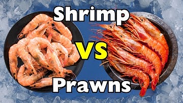 Shrimp vs Prawns: The REAL Difference