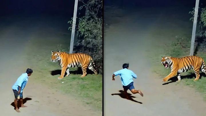 Moments Filmed Seconds Before Disasters