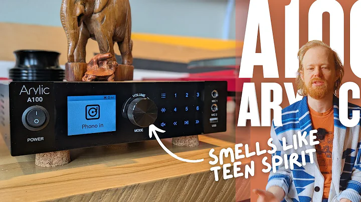 This Is the System I Wish I Had at 17 | Arylic A100 Review