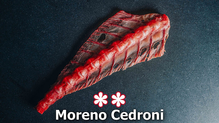 Inside the world of MORENO CEDRONI ⭐⭐