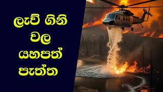 ලැව් ගිනි ඇතිවන එකෙත් වාසි තිබෙන බව දන්නවද