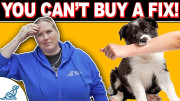 Avoid THIS Bad Nipping and Biting Dog Training Advice