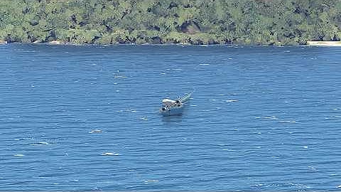 Extreme Approach! Airbus A320 XiamenAir Hair-Raising Landing at Santos Dumont Airport