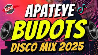 APT THAILAND  (Apateye) - BUDOTS REMIX | DJ JOHNREY DISCO REMIX