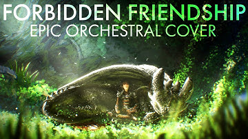 Thumbnail of Forbidden Friendship - How To Train Your Dragon - Epic Orchestral Cover
