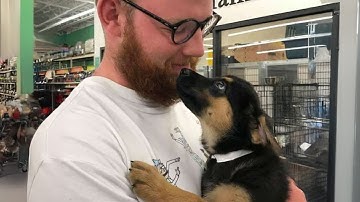 When Puppies Are Being Total Little Humans 😁Funny Comedian Dog and Human Videos 2025