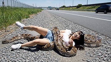 Wildlife Rescue Team Saves Woman from Giant Python Attack on Highway
