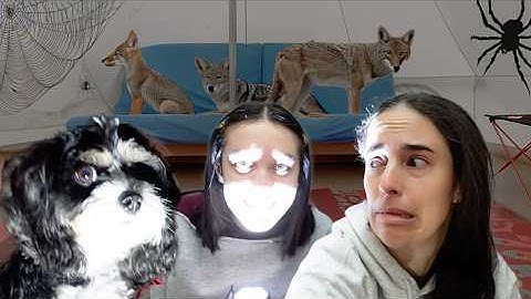 WE SPENT THE NIGHT IN THE TENT!!! ★ Camping Adventure with my dog ​​Lizzie and Mom Fabi
