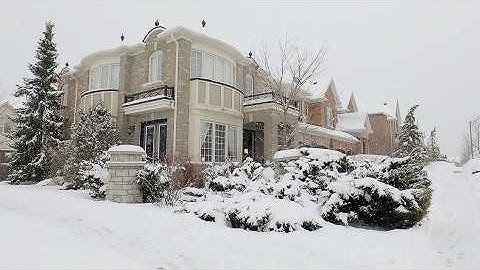 Snow Walk during Lake-effect Snowfall in Toronto area - December 10 2025