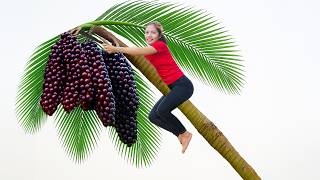 Harvesting Giant Forest Palm Bunch To Sell At The Market, Country style cook | Emma - Free Bushcraft