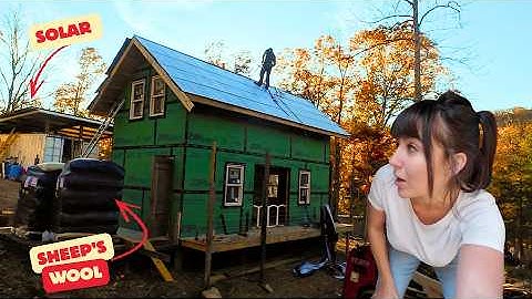 Big Steps In The Right Direction At Our Off Grid Cabin In the Ozarks